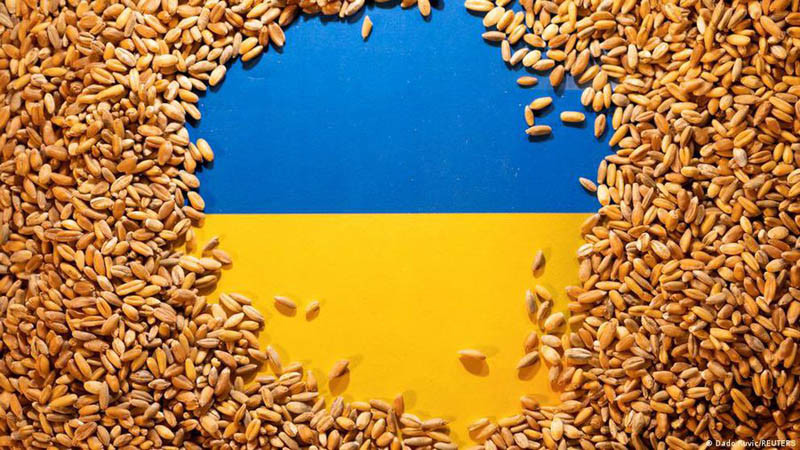 Copa - Cogeca zalecają ostrożność w liberalizacji handlu z Ukrainą