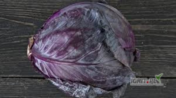 SPRZEDAM CZERWONA KAPUSTĘ OKOŁO 1 KG WAGI. ZAPRASZAM DO KONTAKTU TELEFONIECZNEGI