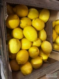 Cytryna 10kg luz kaliber 3 Włochy- Warszawa