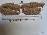 Mamy do zaoferowania Ostropest Mielony pochodzący z polskich upraw.Przetwarzany i produkowany w Polsce.Świeżo mielony na...