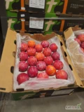 Do sprzedania ilości hurtowe śliwki laetitii pakowanej po 5 kg, dostępny kaliber AA oraz AAA. Marka F1. Dostępna ilość około...