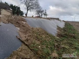 Sprzedam pryzmę kukurydzy z 7 h cięte nowym Jaguarem.