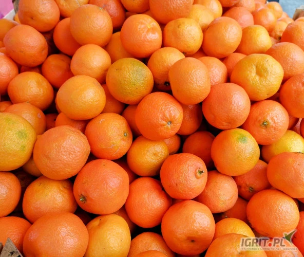 /images/posts/2025/01/1959046/uk5VOAgHda3ZaFSIQgYqNkvjmnDxUarFLC3LOlWT.jpeg
