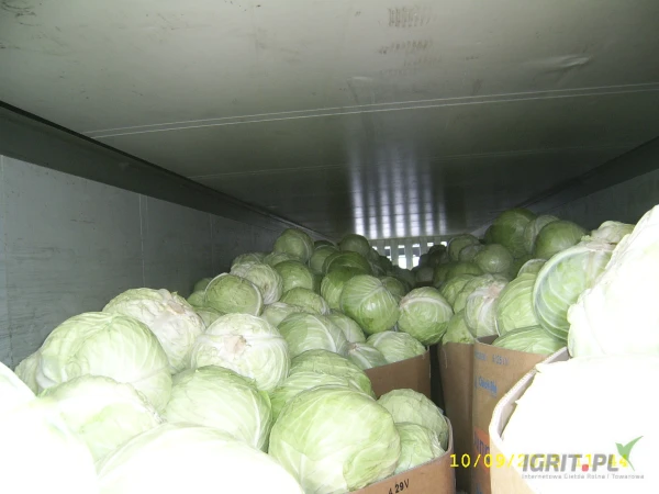 /images/posts/2025/05/2011470/pD1hCuH6MZQW7eq7phltxQxXrnogjI2WotrWBn8s.jpeg