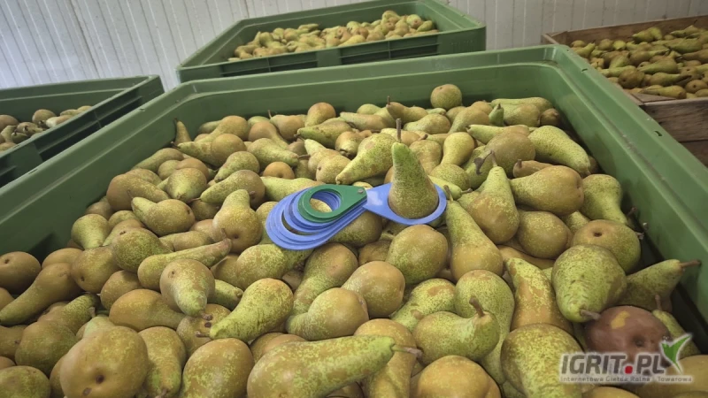 /images/posts/2025/05/2011503/pmSHJ3OLZjCexOUOAoTqznhgcgjK3XqEZ60GSh64.jpeg