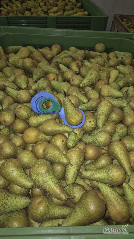 /images/posts/2025/05/2011503/EgLuzbJjOUEWmIVqYZx4EEdCCpVnNDjK2HoSVwi3.jpeg