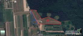 Witamy serdecznie, mamy na sprzedaż siedlisko rolne o powierzchni 51400 m2 (działka A 0,9 h, działka B 4,24 h). Bardzo spokojna i cicha...