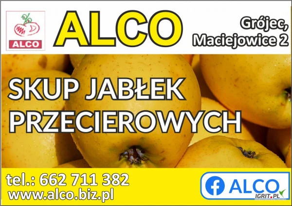 /images/posts/2022/02/1495577/Cv49Hp9A5pMTx2YCZfQ1KYFPvjjDTfHm9QyawjAg.jpeg