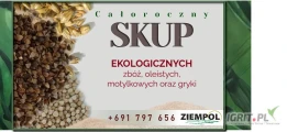 Kupię bobik eko na kwiecień/maj 200 ton. Odbiór z całej Polski
