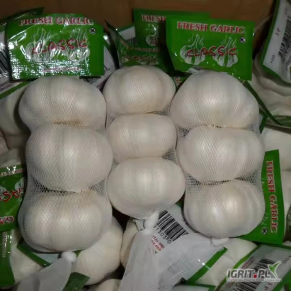/images/posts/2025/05/2011512/qCNZJZwXlwq16sfWBNdus5SG0YOFC3wpfrMu0DAU.jpeg