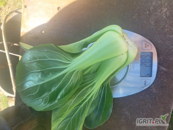 /images/posts/2025/04/2001334/YXBJoPSXyUAEOdykFfh6hKF9yJWIlE9jQgwqJryw.jpeg
