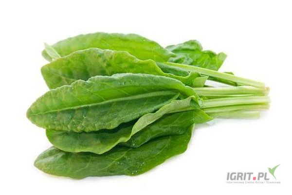 /images/posts/2025/01/1960582/3o98ciuDbtiPkYjjpSI9jpqSJQ62SUSCYsvDK66i.jpeg