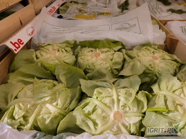 /images/posts/2025/03/1987656/96N5RZgZWLbIibtkpKaWOxJZpuvgB1J064k2vLat.jpeg