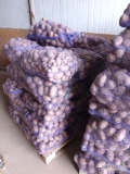 Ziemniaki paszowe grube. Pakowane w worek 30 kg. Cena 30 gr za kg.