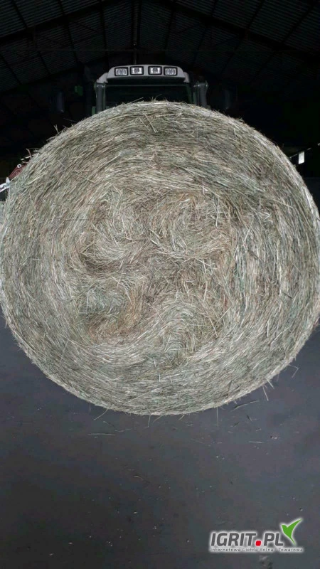 /images/posts/2021/01/1284508/ISGYlMC9ZkqRi4WtMZxfXpO5Eemb1u3o4koxqEQI.jpeg