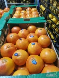 HURTOWNIA POLMAR KATOWICE GIEŁDA. ZAPRASZAMY. MANDARYNKA TURCJA. GRAPEFRUIT KALIBER 36.
