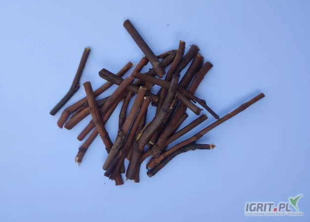 /images/posts/2025/05/2011750/XkTq4waGgbnjuhPKWPpjo2ORu621qirz2KOe8X0A.jpeg