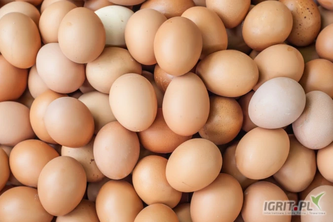 /images/posts/2025/05/2011841/4SGXHUbZnbaGGQumVuUD0gJuACj7ixOAyaiflMlm.jpeg