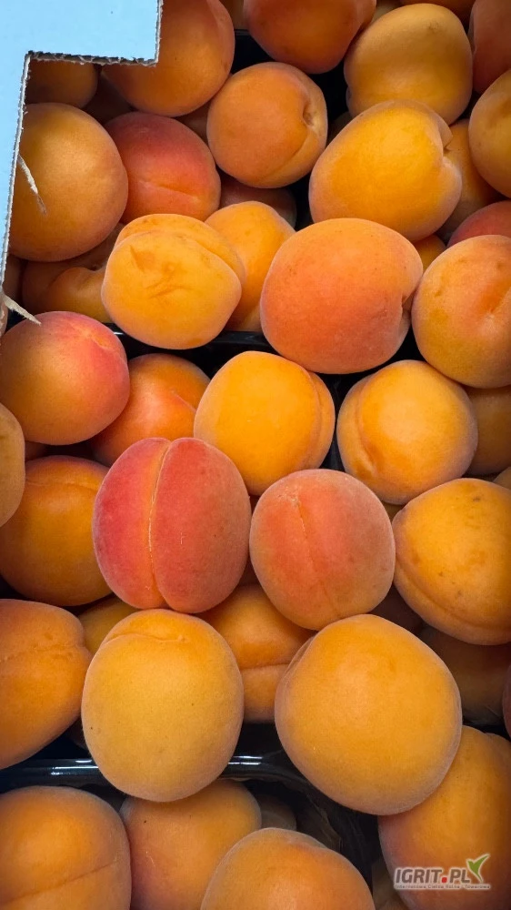 /images/posts/2025/05/2012026/fVozbEsrzcrqDVTtoV8rWqkorx5SAjpwX3k3kg6S.jpeg