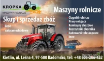 Kupię pszenżyto. Ilości całosamochodowe minimum 25 ton. Odbiór własnym transportem. Kontakt telefoniczny 605 206 422.