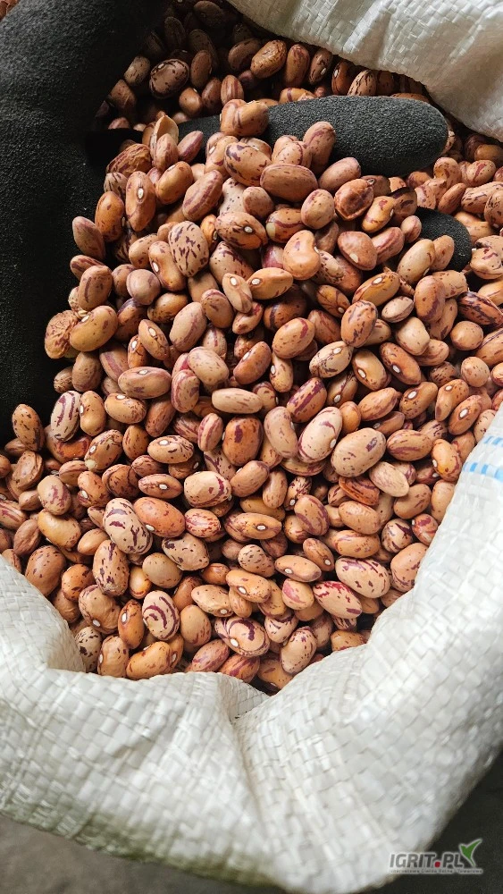 /images/posts/2025/05/2012280/27XdO4lYFcVJ0EklK8uk3L3iWIWRdanGjPKtq4OD.jpeg