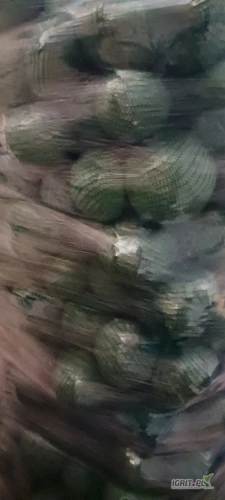 /images/posts/2025/02/1976153/nllNVB33PQkEIeBoS6hBuqtVw28Wxuoj2gpvJlZK.jpeg