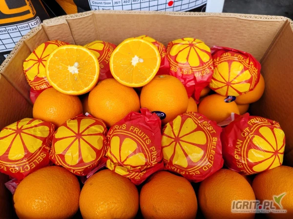 /images/posts/2025/05/2012419/eW91bW4JR0VVPuDZUxtnV4ALyrw4dczrZTd0aHuT.jpeg