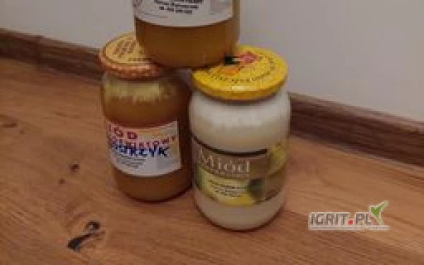 /images/posts/2023/03/1680224/NozY5IHKsYMh9NyeaUTUc5Oy0tYvuCThwI0VExYQ.jpeg