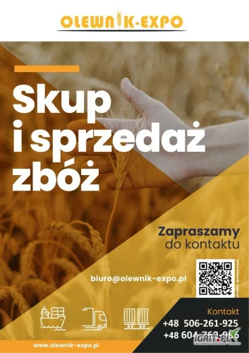 /images/posts/2024/09/1913508/qun2N9ZQ0AuOvMaeUOPHctxsJf1IQcY406VxOUDp.jpeg