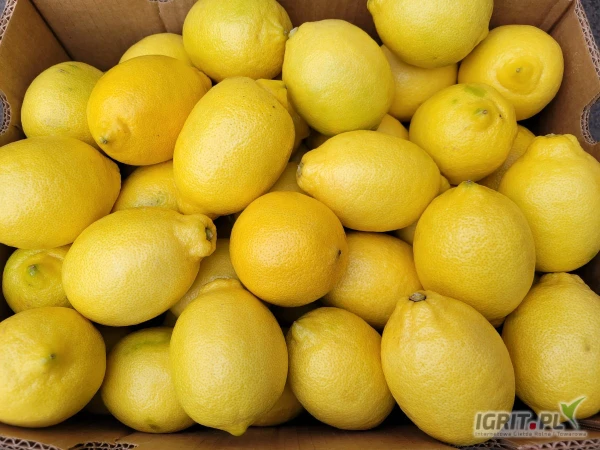 /images/posts/2025/05/2012644/PGks7OTm2z0YKzki5BWzFTjiBySxG6T366ilMh5O.jpeg