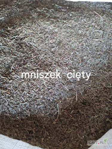 /images/posts/2024/06/1875307/2ZieQGEktv2bvhN6op00aOVG11nDPDh3nx34MBEx.jpeg