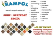 KUPIĘ JĘCZMIEŃ
