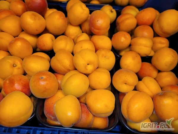 /images/posts/2025/05/2013043/f0mUKob0n7K31vLWSvzYBiyBn5KSXvZhZttnbsf7.jpeg