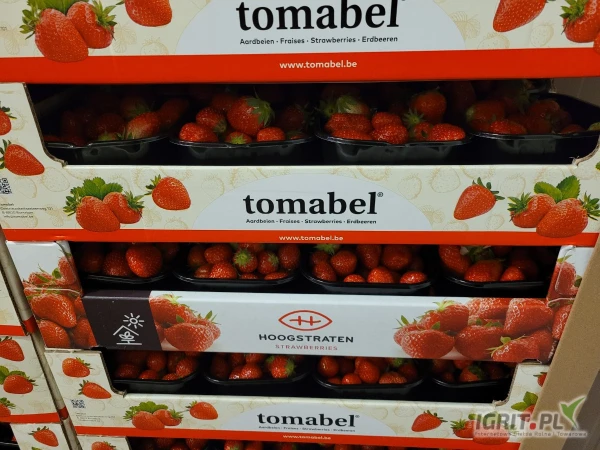 /images/posts/2025/05/2013073/NTA355fibdgGB7nLqr42iPW0KdVEfA7aCFjKBbLX.jpeg