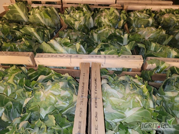 /images/posts/2025/03/1990271/yZFQTTPBY3xpe55hoMCcaukyw1If6pgKmbsLGBBV.jpeg