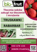 Tłocznia soków BIO-FRUT zakupi rabarbar konwencjonalny i ekologiczny na tłoczenie oraz mrożenie. Zapewniamy skrzynio palety...