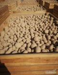 Sprzedam 600ton Melody 40+, 45+ ilości TIRowe cena luz, BigBags tel. 601159904
