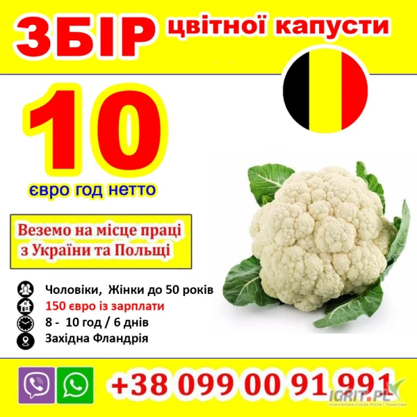 /images/posts/2025/04/2002724/GZQxXmQ7biQQFnkt75fs8LCbCmrSzN4fLG66WJWS.jpeg
