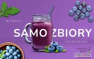 Zapraszamy na samozbiory borówki amerykańskiej w miejscowości Bukowo gm. Murów woj. opolskie. Osoby zainteresowane prosimy o kontakt...