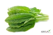 KUPIE
