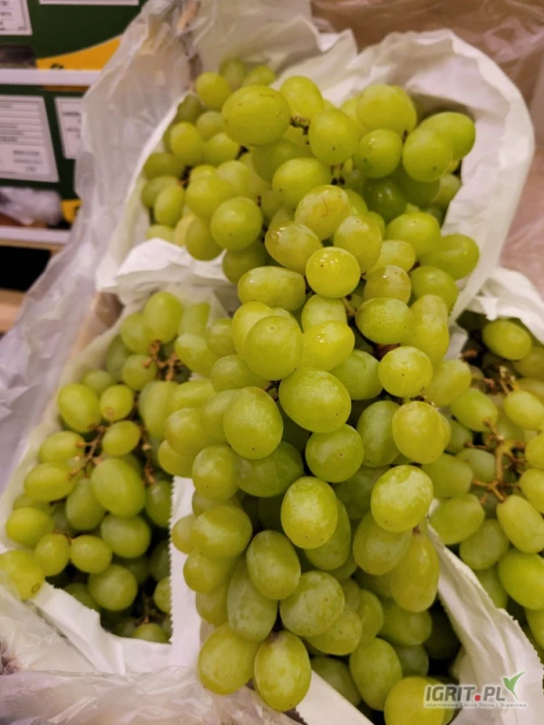 /images/posts/2025/05/2013431/zyOneAP8dONfKjpgjAIF0Cxak1UrMCgrgrbGwrlA.jpeg