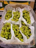 Winogrono 4,5 kg oraz 10x500g Thompson Seedless Indie - słodkie z delikatną kwaśną nutką - Warszawa
