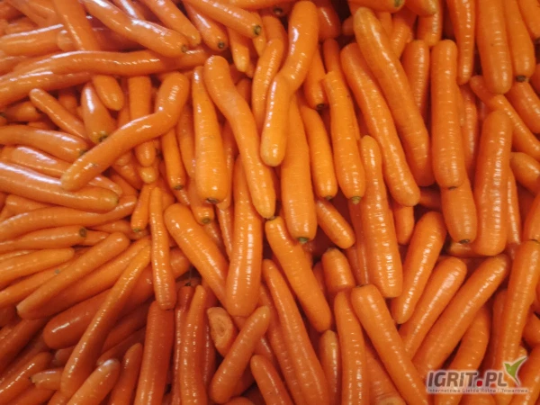 /images/posts/2025/04/2001084/b3cFZDY6UXSI478BvFLGMLFYrDPvjIiFT3fvzZHN.jpeg