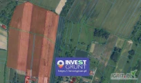 [7,74 ha] przetarg nieograniczony na bezterminową dzierżawę gruntów rolnych [powiat lubelski, woj. lubelskie] użytek RII, RIII.RIV...