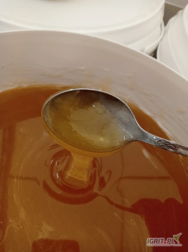 /images/posts/2025/05/2013524/tONx7KfTqoWGanT6WyQxsHVYORmDwEBYTkCDsaTL.jpeg
