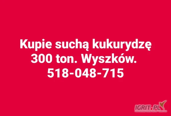 /images/posts/2024/10/1923004/swxCF9jVhzyqjui7lvz4L0WNkdGc3QyOHSxiOMqG.jpeg