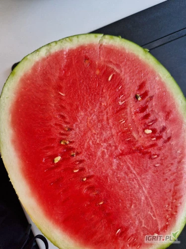 /images/posts/2024/08/1891436/1PLpkaAI80sTzI8hl78imUVBR9duJdWTUpPGB1ns.jpeg