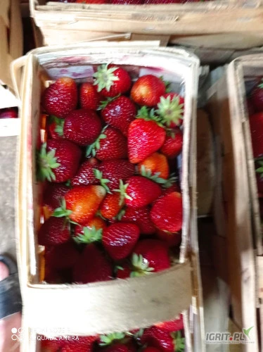 /images/posts/2024/06/1876573/AdEDDZE6WK82kJ96f1rLoXQ6oIMytP5W4CZbxXLv.jpeg