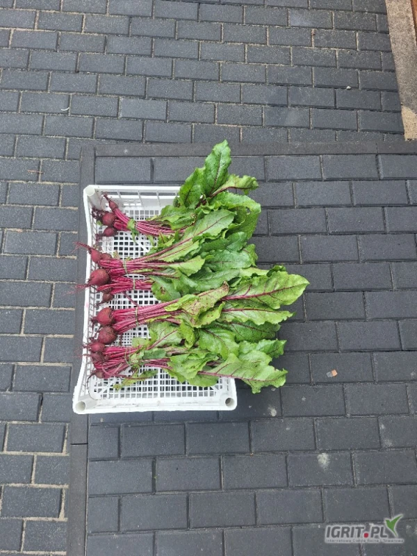 /images/posts/2025/04/2003403/PtRkJLn5sajN27XqBl8xKCC8NaxChBHHyBYCkmKQ.jpeg