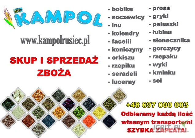 /images/posts/2025/04/2003242/fPFjJLdfizeP1eyzmKQvjPVv39HZDZtxA91cMZxf.jpeg